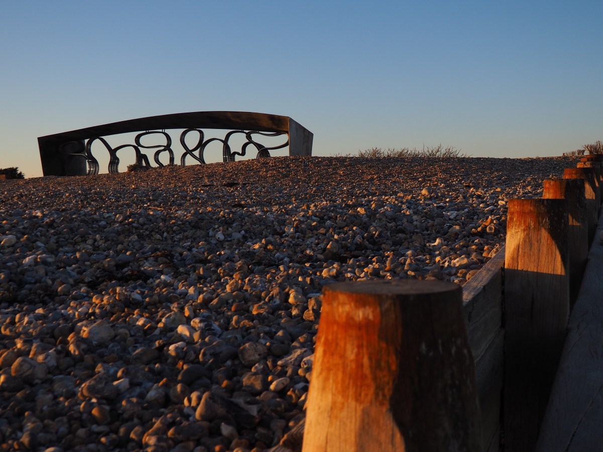 Let Loose in&nbsp;Littlehampton